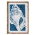 Elouera Vintage Shells Wall Art Set/3
