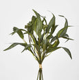 Eucalyptus Seeded Bundle 43cm