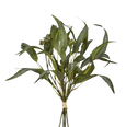 Eucalyptus Seeded Bundle 43cm
