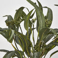 Eucalyptus Seeded Bundle 43cm