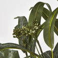 Eucalyptus Seeded Bundle 43cm