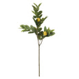 Lemon Spray Green
