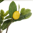 Lemon Spray Green