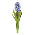 Hyacinth with Leaves Stem Purple