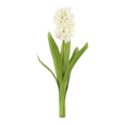 Hyacinth with Leaves Stem White