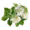Hydrangea Vivid Leaf Bouquet White