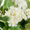 Hydrangea Vivid Leaf Bouquet White