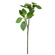 Vivid Leaf Spray Green