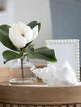 Magnolia Stem in Glass Vase White & Green 26cm