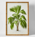 Palm Botanical Wall Art A