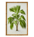 Palm Botanical Wall Art A