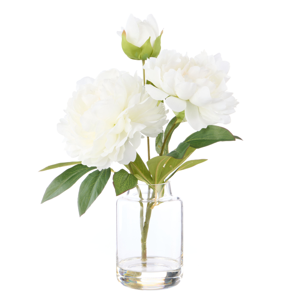 Peony Stem in Pauline Vase White