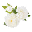 Peony Stem in Pauline Vase White