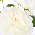 Peony Stem in Pauline Vase White
