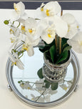 Potted Orchid in Silver Bowl Small White