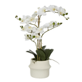 Real Touch Phalaenopsis in Zara Pot 58cm