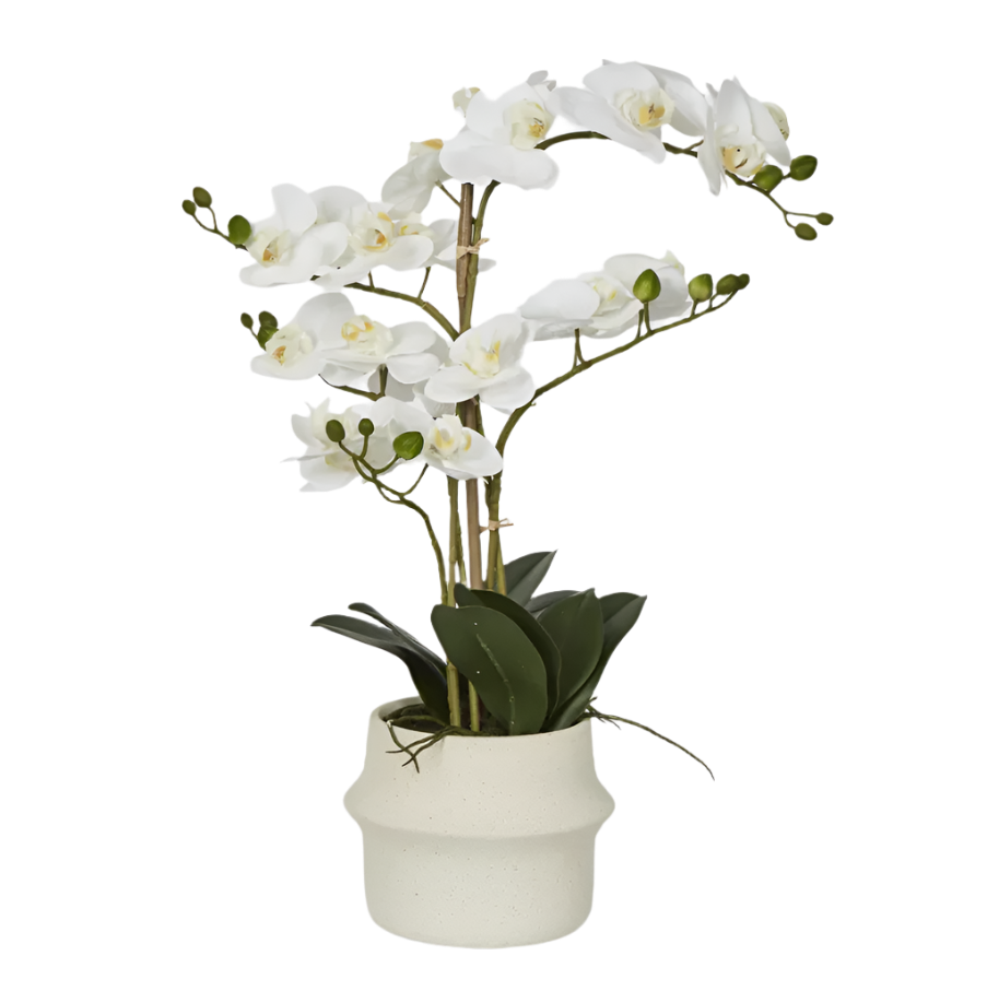 Real Touch Phalaenopsis in Zara Pot 58cm