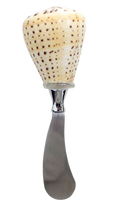 Shell Spreader Large 2