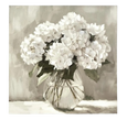 White Hydrangeas Canvas Print