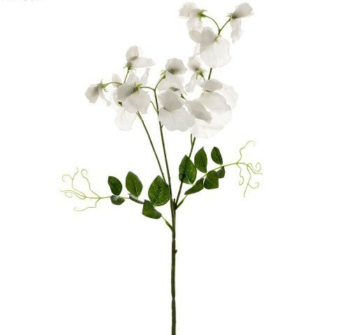 Sweetpea Spray 70cm White