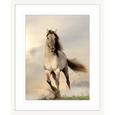 Austin Horses #08