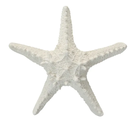 White Poly Starfish