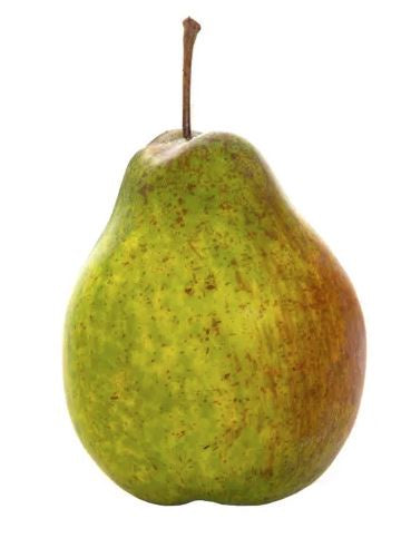 Pear Single Green