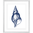 Navy Shell Print 3
