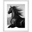 Austin Horses #04