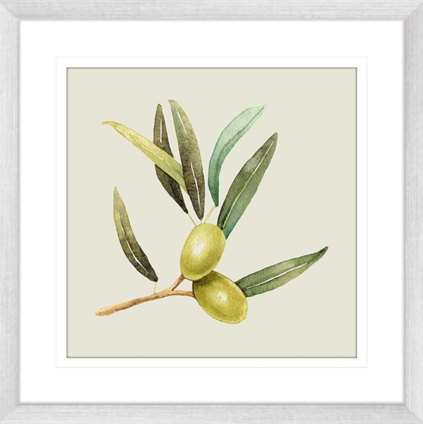 Olive Grove 01