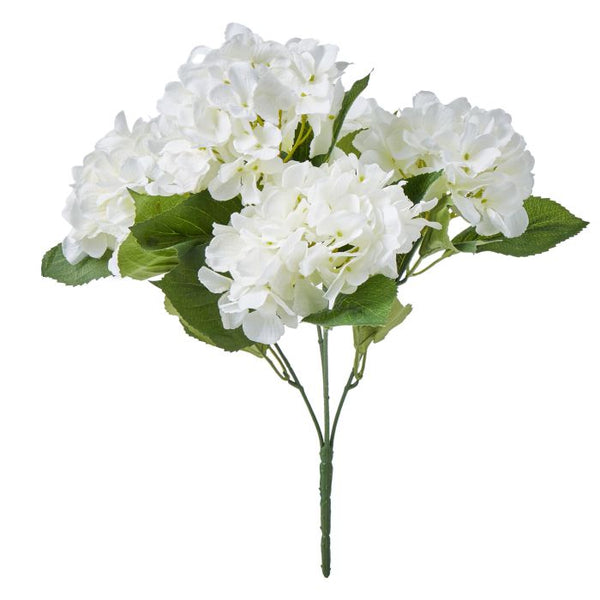 Hydrangea Bush White 45cm