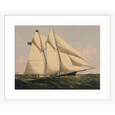 The Yacht I