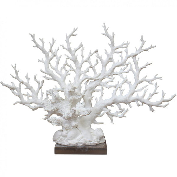 Coral Pinnate White