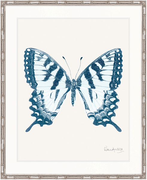 Fanciful Butterfly II
