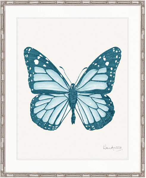 Fanciful Butterfly VI