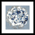 Elegant Hydrangea II