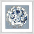 Elegant Hydrangea II