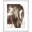 Austin Horses #15