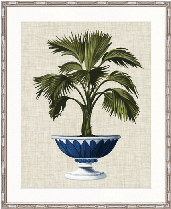 Ornate Palm I