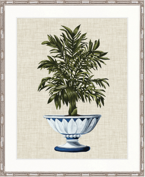 Ornate Palm III