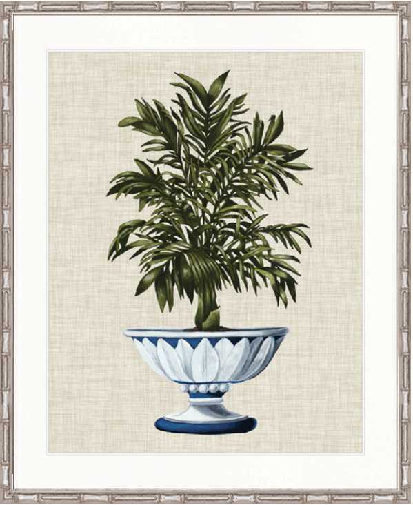 Ornate Palm III