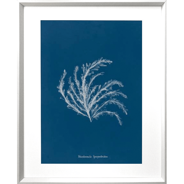 Whitehaven 01 Print