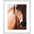 Austin Horses #13