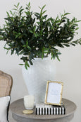 Olive Spray