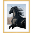 Austin Horses #03