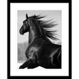 Austin Horses #04