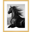 Austin Horses #04