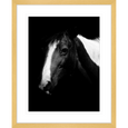 Austin Horses #06