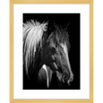Austin Horses #07