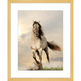 Austin Horses #08